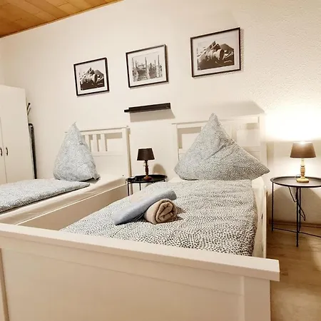 Elena Flat Sonnenblumen Zentrum