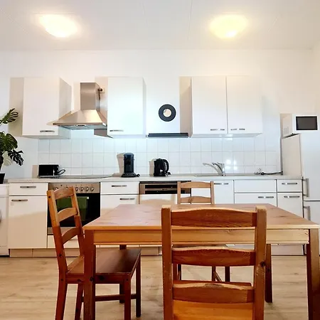 Elena Flat Sonnenblumen Zentrum Duisbourg