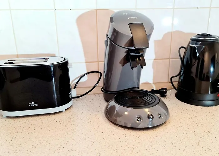 公寓 Elena Flat Sonnenblumen Zentrum *